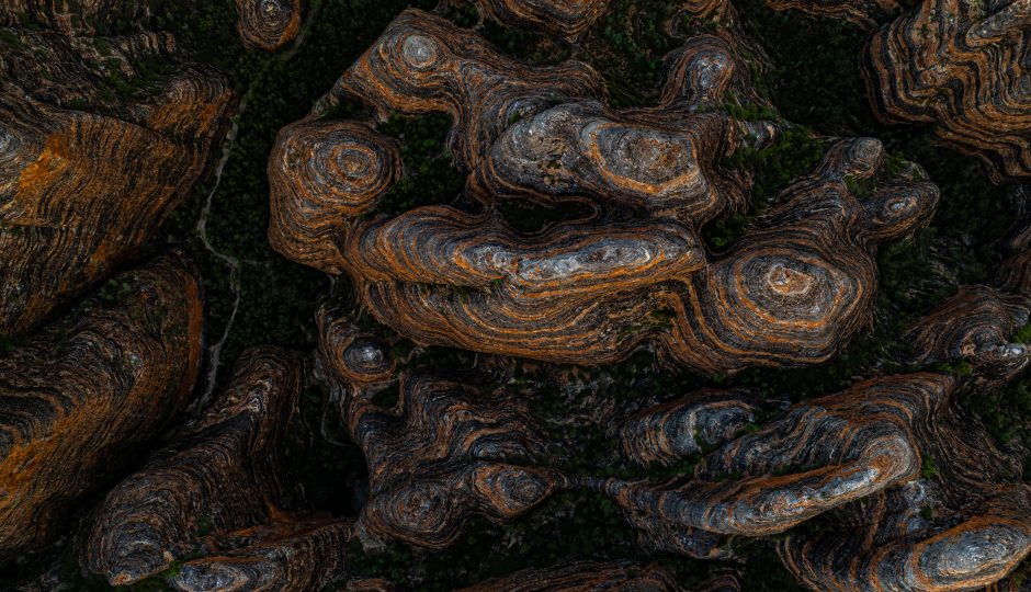 Header Image